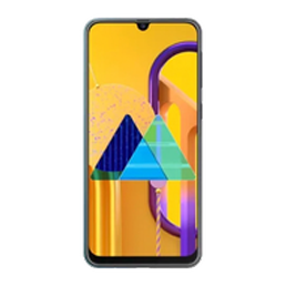 Samsung Galaxy M30s