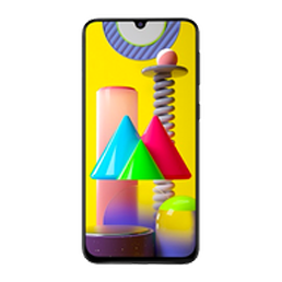 Samsung Galaxy M21
