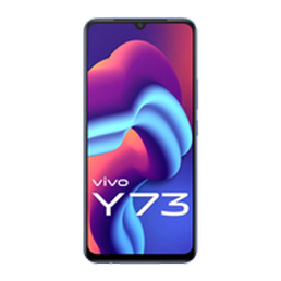 Vivo Y73