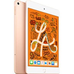 iPad Mini 5th Gen (Wi-Fi Only)