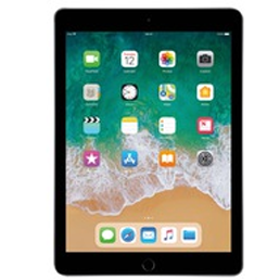 iPad 9.7 6th Gen (Wi-Fi + Cellular)