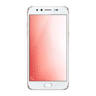 Vivo X9s