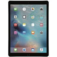 iPad Pro 9.7" 1st Gen (Wi-Fi+Cellular)